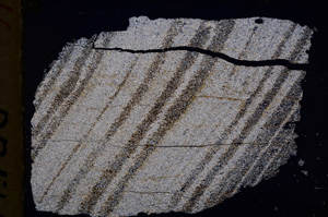 Cross Polarized, E18057