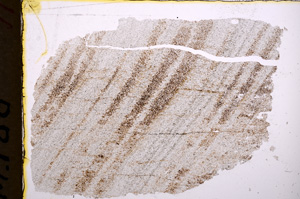 Plane Polarized, E18057