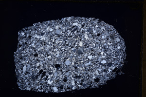 Cross Polarized, E18098