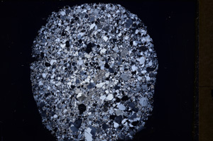 Cross Polarized, E18099