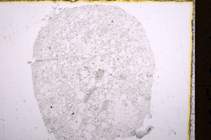 Plane Polarized, E18099