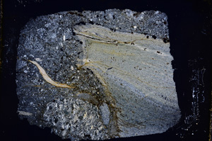 Cross Polarized, E18100