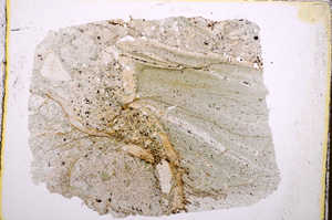 Plane Polarized, E18100