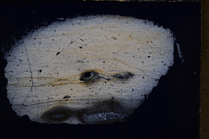 Cross Polarized, E18102