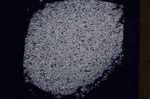 Cross Polarized, E18105