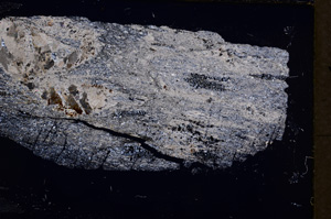 Cross Polarized, E18112