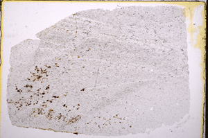 Plane Polarized, E18113