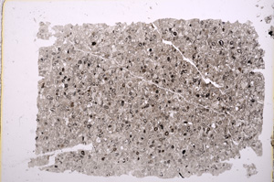 Plane Polarized, E18130