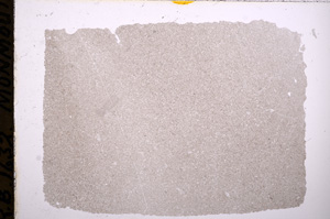 Plane Polarized, E18131