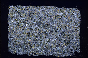 Cross Polarized, E18134