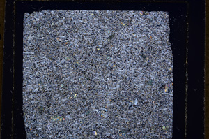 Cross Polarized, E18146