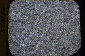 Cross Polarized, E18147