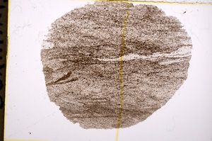 Plane Polarized, E18171