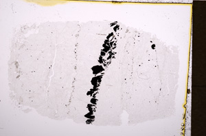 Plane Polarized, E18173