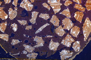 Cross Polarized, E18178