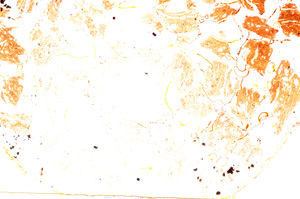 Plane Polarized, E18178