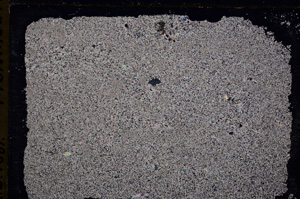 Cross Polarized, E18183