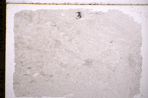 Plane Polarized, E18183