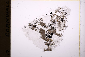 Plane Polarized, E18185