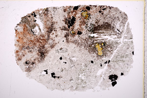 Plane Polarized, E18187