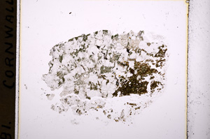 Plane Polarized, E18188
