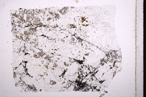 Plane Polarized, E18189