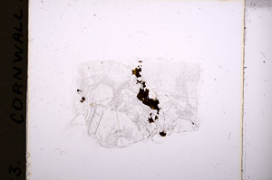 Plane Polarized, E18193