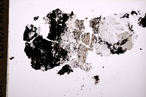 Plane Polarized, E18196
