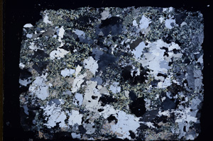 Cross Polarized, E18204