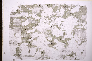 Plane Polarized, E18204