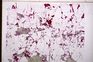 Plane Polarized, E18205