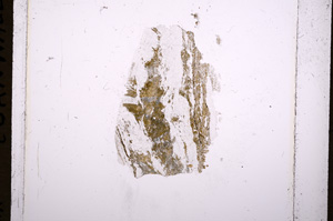Plane Polarized, E18206