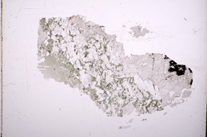 Plane Polarized, E18208