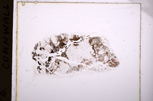 Plane Polarized, E18211