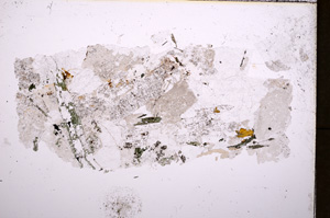 Plane Polarized, E18214