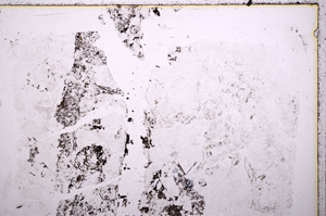 Plane Polarized, E18217