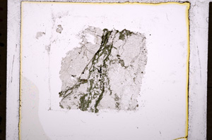 Plane Polarized, E18218/E