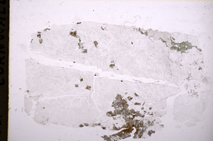 Plane Polarized, E18221