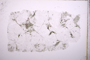 Plane Polarized, E18222