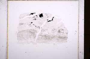 Plane Polarized, E18223