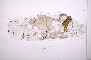 Plane Polarized, E18226