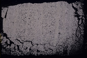 Cross Polarized, E18232/A