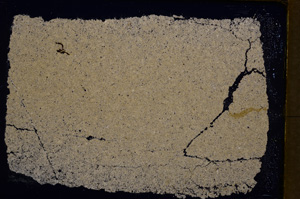 Cross Polarized, E18233
