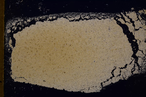 Cross Polarized, E18233/A