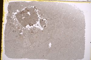 Plane Polarized, E18234