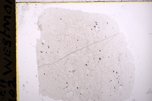 Plane Polarized, E18251