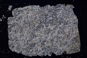 Cross Polarized, E18258