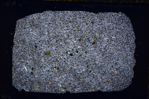 Cross Polarized, E18287