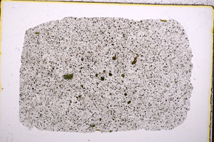 Plane Polarized, E18287