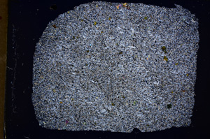 Cross Polarized, E18288